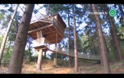Pequeños grandes lujos: Cómo desconectar en una cabaña en lo alto de un árbol