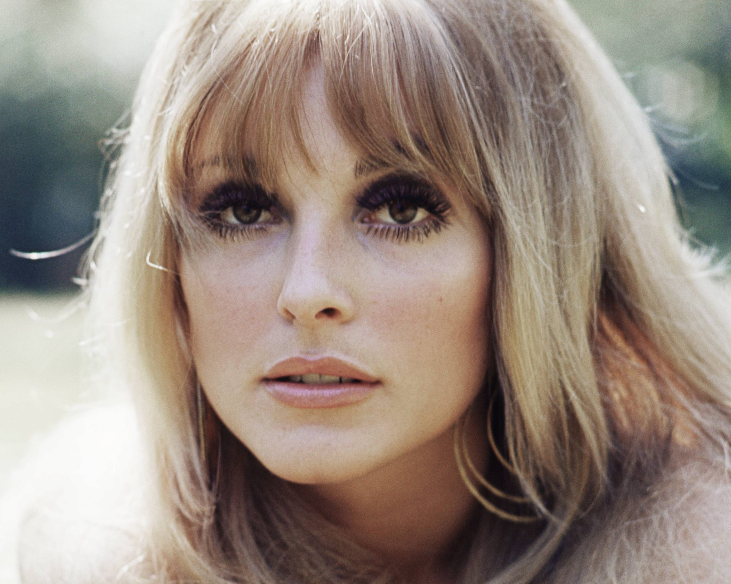 Headshot of Sharon Tate (1943-1969), US actress, circa 1965. (Photo by Silver Screen Collection/Getty Images)