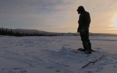 Alone: Supervivencia en el Ártico feb2021
